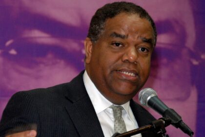 TSE establece al PLD cómo hacer la consulta