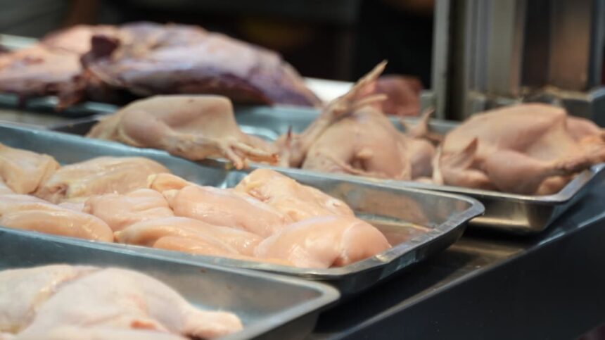Comerciantes de la Ciudad Ganadera niegan que el precio del pollo esté a 125 pesos la libra