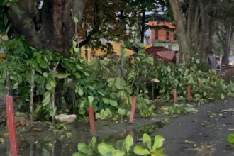 Fuerte granizada sorprende a comunidades de Santiago y causa daños en viviendas, tendido eléctrico y servicios de salud