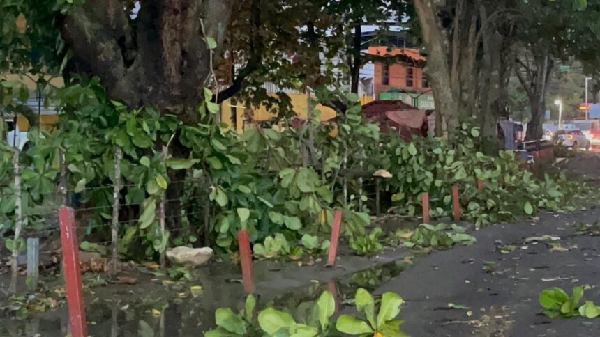 Fuerte granizada sorprende a comunidades de Santiago y causa daños en viviendas, tendido eléctrico y servicios de salud