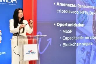 Plantea alianza público-privada contra el crimen organizado en RD