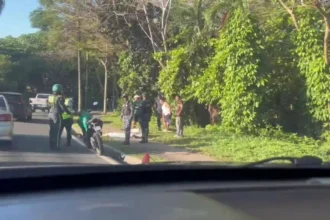Hombre encontrado muerto en la acera del Jardín Botánico Nacional Un hombre fue hallado sin vida este lunes en la acera del Jardín Botánico Nacional, ubicado en la avenida República de Argentina, cerca de la avenida de Los Próceres, en el Distrito Nacional. Hasta el momento, las autoridades no han identificado a la víctima ni han determinado las causas de su fallecimiento. Agentes de la Digesett acordonaron el área mientras se espera la intervención de los organismos competentes para el levantamiento del cuerpo y el inicio de las investigaciones. El caso sigue en desarrollo y se anticipa que en las próximas horas las autoridades ofrecerán más detalles sobre las circunstancias del hecho. Los cuerpos de seguridad y judiciales trabajan para esclarecer la situación y asegurar la correcta recopilación de pruebas, manteniendo la zona resguardada mientras se realizan las pesquisas correspondientes. Más información en alodigitalrd.com. #JardinBotanico #DistritoNacional #SucesoRD #Seguridad #Investigacion #AloRD #AloDigitalRD #NoticiasRD
