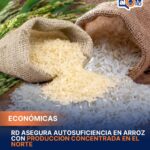 República Dominicana asegura autosuficiencia en arroz con producción concentrada en el Norte