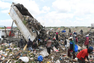 Comisión de Duquesa niega que carne y medicamentos incautados provengan del vertedero La Comisión por el Desarrollo del Relleno Sanitario de Duquesa aseguró que la carne en mal estado y los medicamentos falsificados incautados durante un reciente allanamiento policial no provienen del vertedero. El comisionado del Ministerio de Medio Ambiente, César Norberto Martínez, explicó que en el entorno existen negocios externos al perímetro de Duquesa que manejan productos desechados, pero que no están vinculados directamente con el relleno sanitario. Las autoridades indicaron que los productos fueron encontrados en el sector Los Casabes, en Santo Domingo Norte, tras denuncias comunitarias sobre su circulación. Mientras tanto, representantes municipales señalaron que los buzos suelen recuperar materiales reutilizables como plástico y metal dentro del vertedero, aunque el gobierno mantiene un plan de transformación del área con una inversión de 110 millones de dólares para su cierre técnico y futura reconversión en espacio recreativo. Más información en alodigitalrd.com. #Duquesa #SantoDomingoNorte #MedioAmbiente #SaludPublica #Incautaciones #AloRD #AloDigitalRD #NoticiasRD