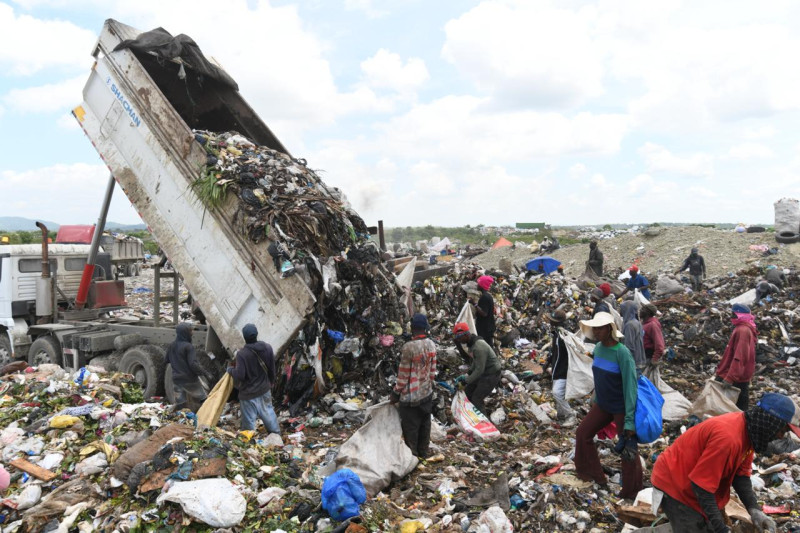 Comisión de Duquesa niega que carne y medicamentos incautados provengan del vertedero La Comisión por el Desarrollo del Relleno Sanitario de Duquesa aseguró que la carne en mal estado y los medicamentos falsificados incautados durante un reciente allanamiento policial no provienen del vertedero. El comisionado del Ministerio de Medio Ambiente, César Norberto Martínez, explicó que en el entorno existen negocios externos al perímetro de Duquesa que manejan productos desechados, pero que no están vinculados directamente con el relleno sanitario. Las autoridades indicaron que los productos fueron encontrados en el sector Los Casabes, en Santo Domingo Norte, tras denuncias comunitarias sobre su circulación. Mientras tanto, representantes municipales señalaron que los buzos suelen recuperar materiales reutilizables como plástico y metal dentro del vertedero, aunque el gobierno mantiene un plan de transformación del área con una inversión de 110 millones de dólares para su cierre técnico y futura reconversión en espacio recreativo. Más información en alodigitalrd.com. #Duquesa #SantoDomingoNorte #MedioAmbiente #SaludPublica #Incautaciones #AloRD #AloDigitalRD #NoticiasRD