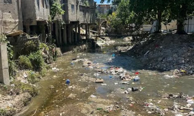 **Fuerza del Pueblo denuncia abandono estatal en sector La 800 tras lluvias** La organización política Fuerza del Pueblo denunció la falta de respuesta del Gobierno ante la situación que enfrentan familias del sector La 800, en Los Ríos, tras los daños ocasionados por las lluvias. Durante un recorrido, la dirigente Yadira Peña recogió testimonios de residentes que aseguran haber perdido sus pertenencias y vivir en condiciones precarias, sin recibir asistencia estatal. Según la denuncia, decenas de familias permanecen a la intemperie, mientras se exige una intervención urgente y soluciones estructurales, especialmente en torno al problema de la cañada que continúa representando un riesgo para la comunidad. La organización llamó a una acción inmediata por parte de las autoridades para atender la situación. Más información en alodigitalrd.com. #FuerzaDelPueblo #LosRios #LluviasRD #SantoDomingo #DenunciaSocial #AloRD #AloDigitalRD #NoticiasRD