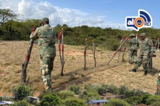 **Medio Ambiente ejecuta operativo y declara tolerancia cero a ocupaciones ilegales en Dunas de Baní** El ministro de Medio Ambiente, Paíno Abreu, encabezó un operativo en Las Dunas de Las Calderas, en Baní, tras denuncias sobre ocupaciones ilegales en esta área protegida. Acompañado de militares, técnicos y guardaparques, verificó la existencia de unas 20 viviendas construidas sin autorización, algunas incluso con sistema eléctrico instalado, dentro de este monumento natural y zona militar. Ante la situación, Abreu ordenó el desmantelamiento inmediato de infraestructuras ilegales y el fortalecimiento del monitoreo en la zona núcleo y de amortiguamiento. También dispuso la identificación y señalización de los límites del área protegida, reiterando una política de “tolerancia cero” frente a intervenciones ilegales, mientras destacó operativos recientes que incluyen más de 20 intervenciones y más de 500 deportaciones vinculadas a ocupaciones irregulares. Más información en alodigitalrd.com. #MedioAmbienteRD #DunasDeBani #PaínoAbreu #AreasProtegidas #RepublicaDominicana #AloRD #AloDigitalRD #NoticiasRD