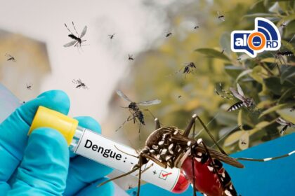 **República Dominicana registra 71 casos de dengue en primeras 14 semanas de 2026** El Ministerio de Salud Pública informó que el país acumula 71 casos de dengue hasta la semana epidemiológica 14 de 2026, lo que representa una reducción de 16.5% en comparación con el mismo período de 2025. Además, se han reportado 72 casos de malaria y 21 de leptospirosis entre las semanas 11 y 14, asociados a lluvias frecuentes y alta humedad. Las autoridades indicaron que los virus respiratorios mantienen un comportamiento estable, con circulación de influenza A (H3N2), metapneumovirus y adenovirus, mientras que el COVID-19 continúa con baja incidencia y sin nuevas variantes de preocupación. En cuanto a mortalidad, se han registrado 30 muertes maternas, una disminución del 44% respecto al año anterior, y 22 fallecimientos infantiles en la semana 14. Más información en alodigitalrd.com. #SaludRD #Dengue #SaludPública #Epidemiología #Prevención #AloRD #AloDigitalRD #NoticiasRD