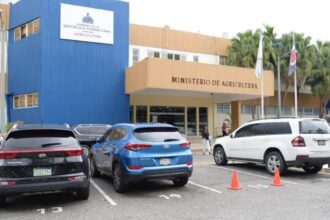 **Renuncias en Agricultura generan incertidumbre en medio de crisis global** Una serie de renuncias de altos funcionarios en el Ministerio de Agricultura ha generado preocupación en el sector agropecuario dominicano, en un contexto marcado por la crisis internacional y posibles presiones inflacionarias. Entre los dimitentes figura el exencargado jurídico Jesús Pimentel, quien alegó persecución e irrespeto, mientras otros siete directivos también habrían presentado su salida por conflictos internos. La situación ocurre tras la designación de Francisco Oliverio Espaillat como nuevo ministro en enero de 2026, y ha provocado incertidumbre entre productores y consumidores sobre la estabilidad del sector. Este escenario se desarrolla en medio de riesgos globales que podrían afectar las cadenas de suministro y la seguridad alimentaria del país. Más información en alodigitalrd.com. #AgriculturaRD #CrisisGlobal #SectorAgropecuario #EconomiaRD #Renuncias #AloRD #AloDigitalRD #NoticiasRD