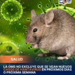OMS advierte que podrían surgir más casos de hantavirus en los próximos días