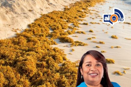 Barahona enfrenta creciente crisis por acumulación masiva de sargazo