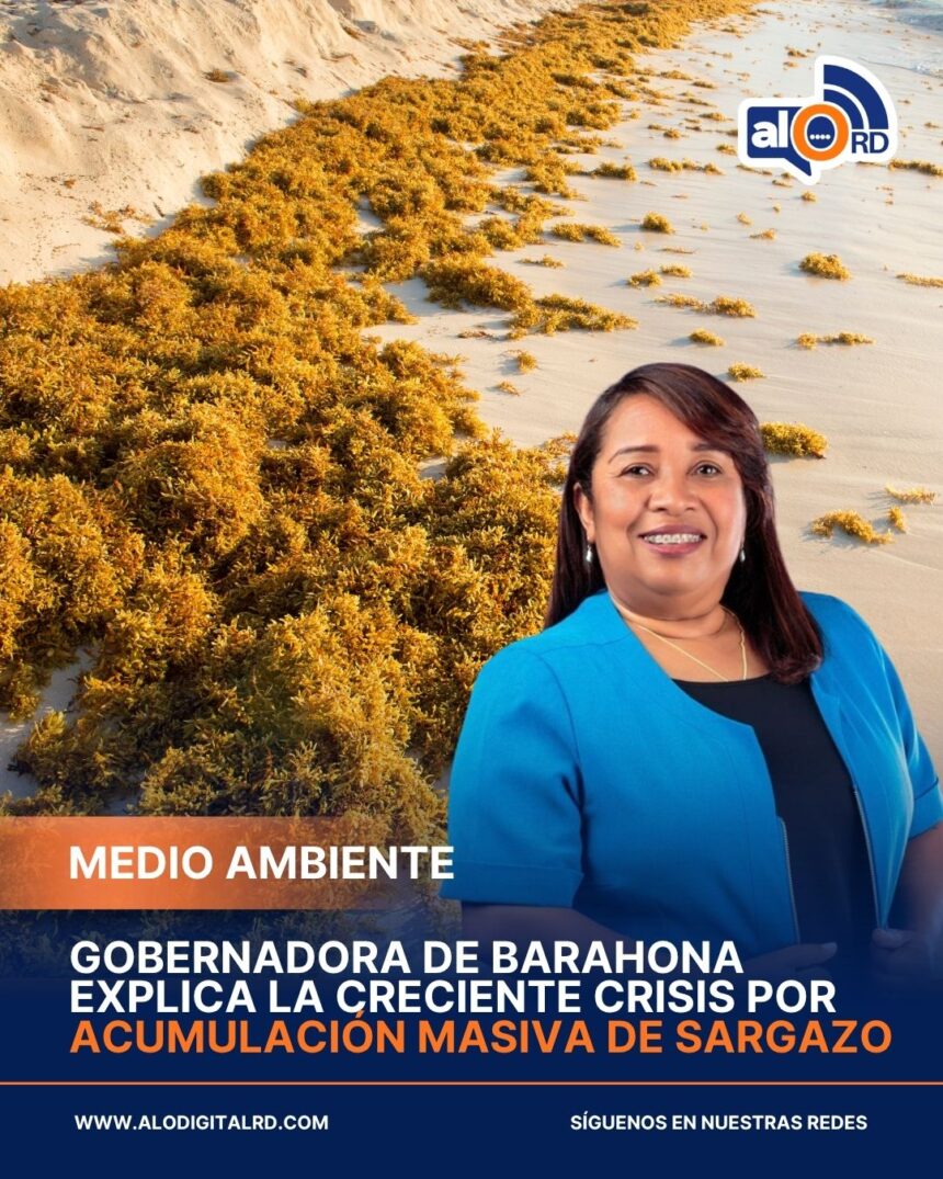Barahona enfrenta creciente crisis por acumulación masiva de sargazo