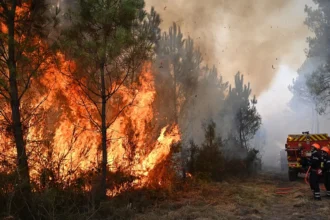Europa enfrenta devastadores incendios forestales con evacuaciones masivas y víctimas mortales